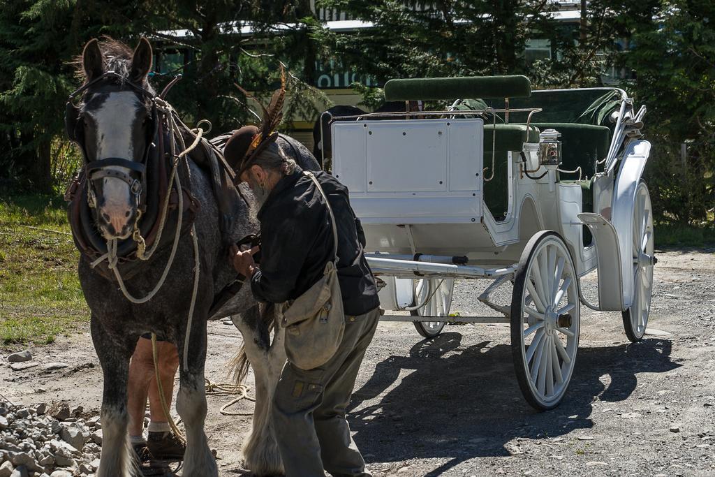 Otira Stagecoach Hotel Экстерьер фото